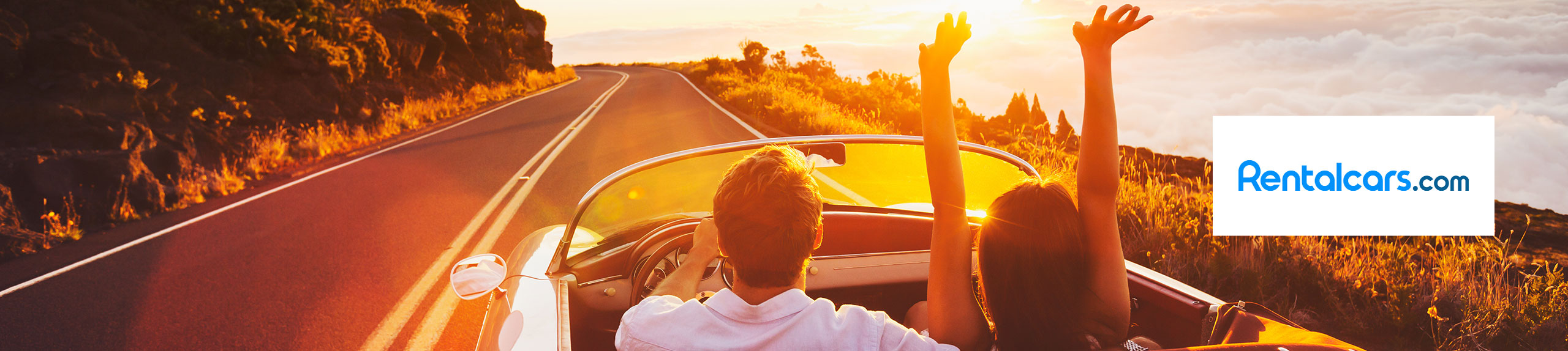 Rental cars banner